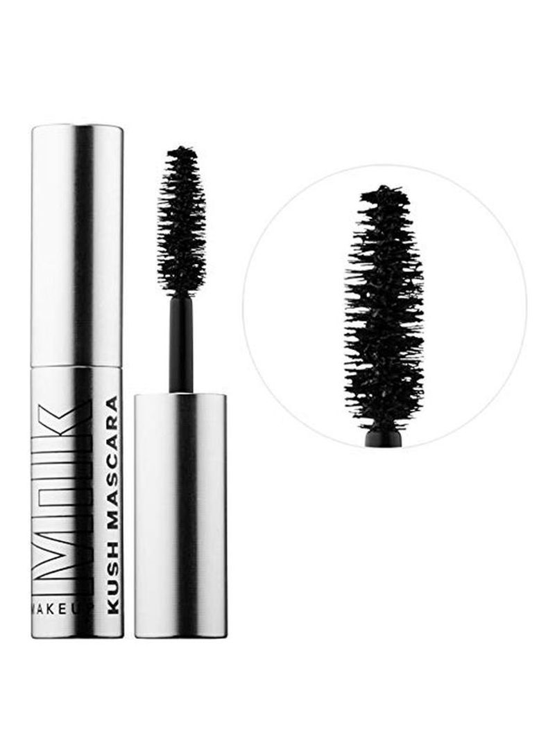 N33397281A_2.jpg N33397281A_2.jpg